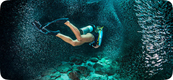 Salaire d'un divemaster en 2026, combien gagne un divemaster dans le monde
