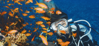 Comment devenir divemaster en partant de zéro en 2 mois